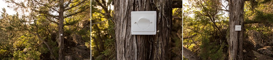 CM-triptique-arbre-ecorse